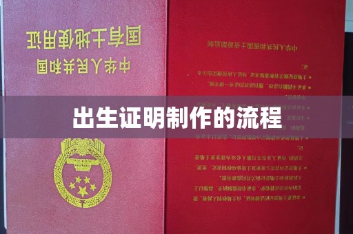 武山出生证明制作的流程